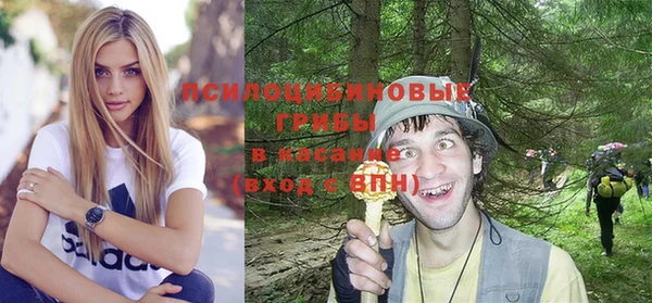 прущие грибы Майский