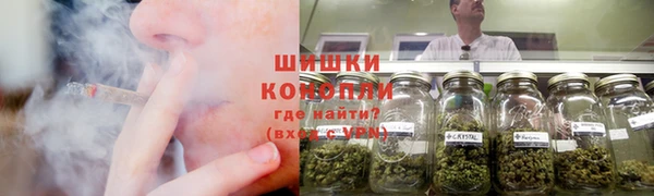 сатива Медногорск
