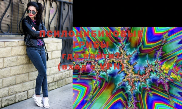 прущие грибы Майский