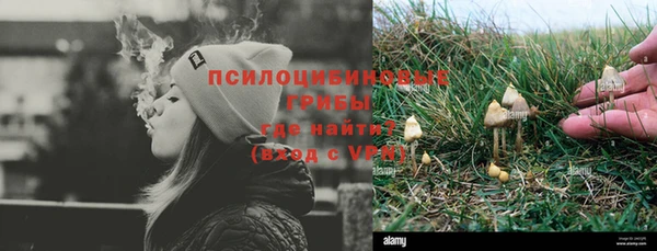a pvp Медвежьегорск
