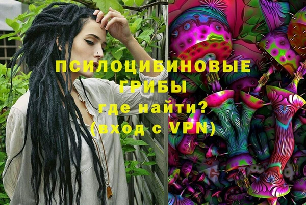 a pvp Медвежьегорск