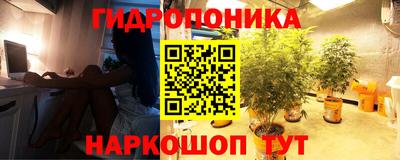 прущие крисы Заводоуковск