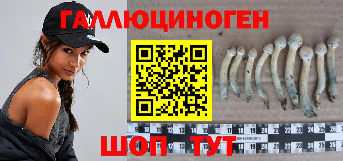 Галлюциногенные грибы прущие грибы  Фрязино 