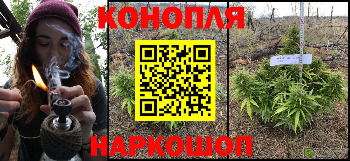 Бошки Шишки Amnesia  Фрязино  Бошки Шишки White Widow  Бошки марихуана тримм 