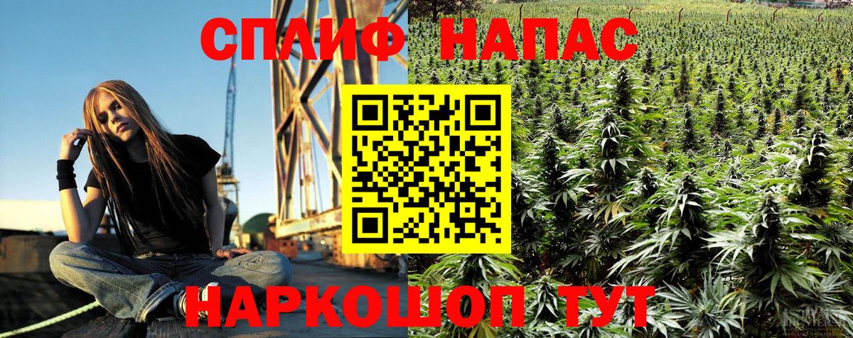 Бошки марихуана SATIVA & INDICA  Каннабис планчик  Фрязино  Вход с VPN  Марихуана планчик 